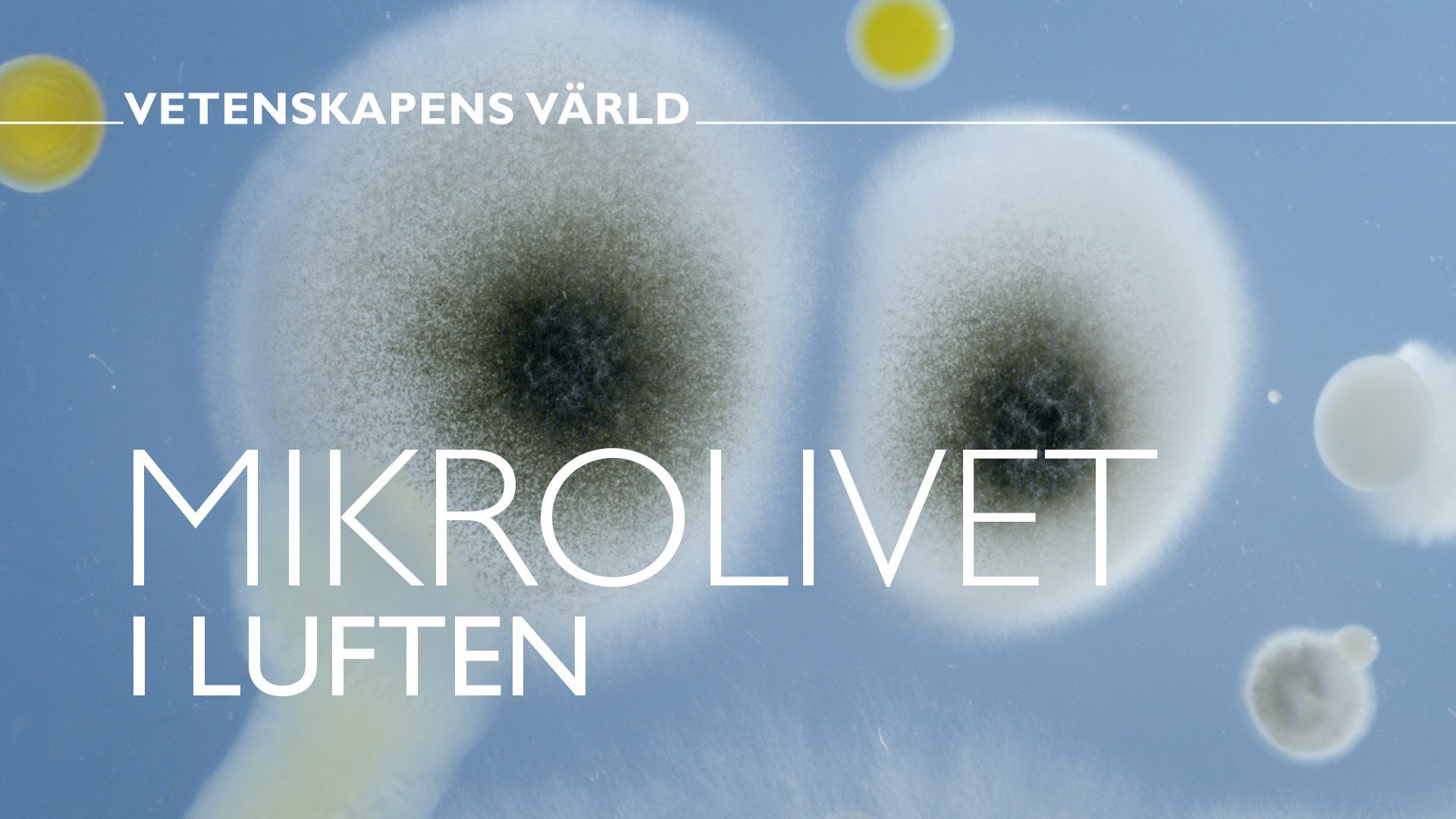 Vetenskapens värld