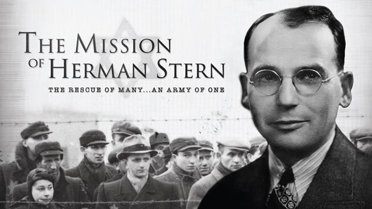 The Mission of Herman Stern (2017)