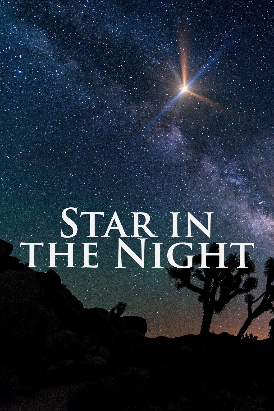 Star in the Night