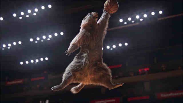 Les Marmottes - Basket