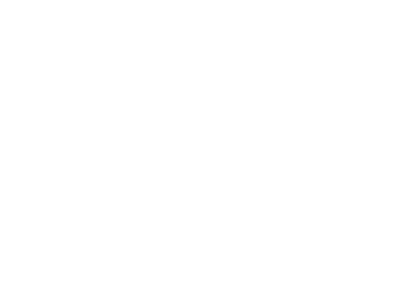 Gundam Wing: The Endless Waltz Logo