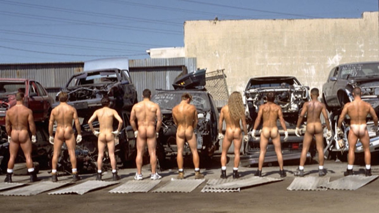 Junkyard Boyz