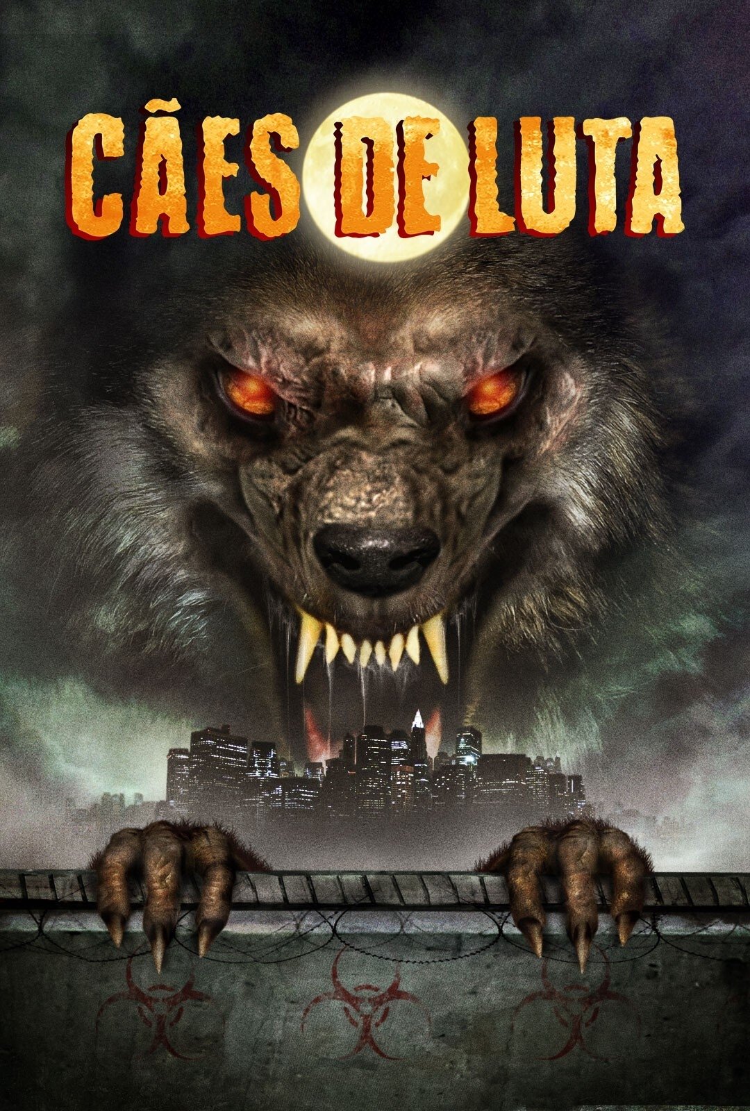 Capa do Filme 