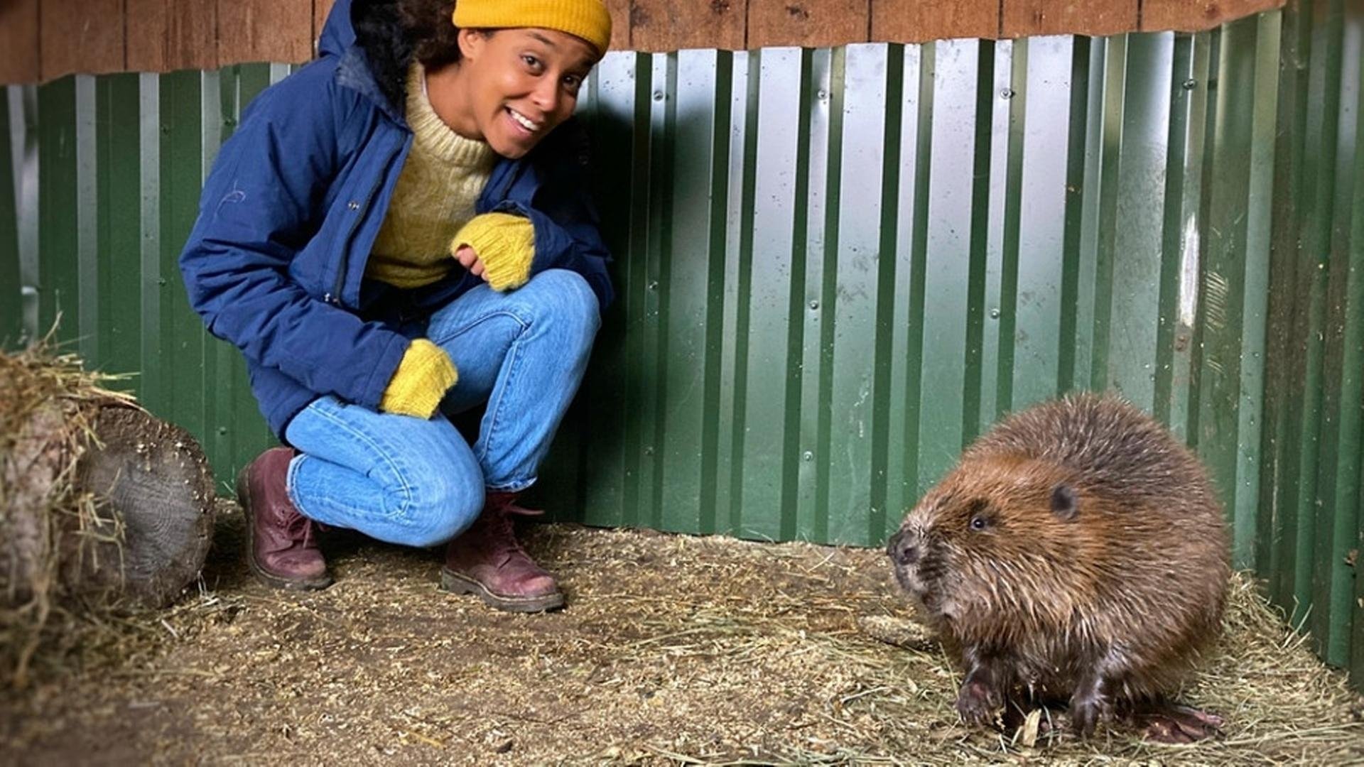 Pia und die wilden Tiere