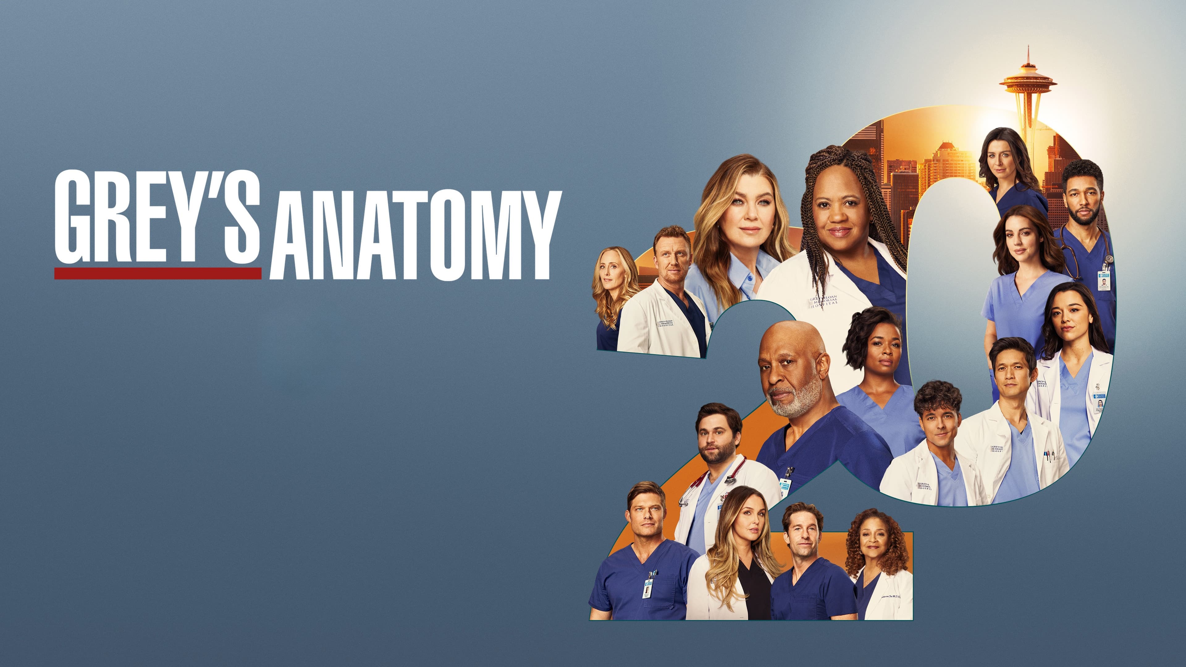 Grey's Anatomy - Season 6