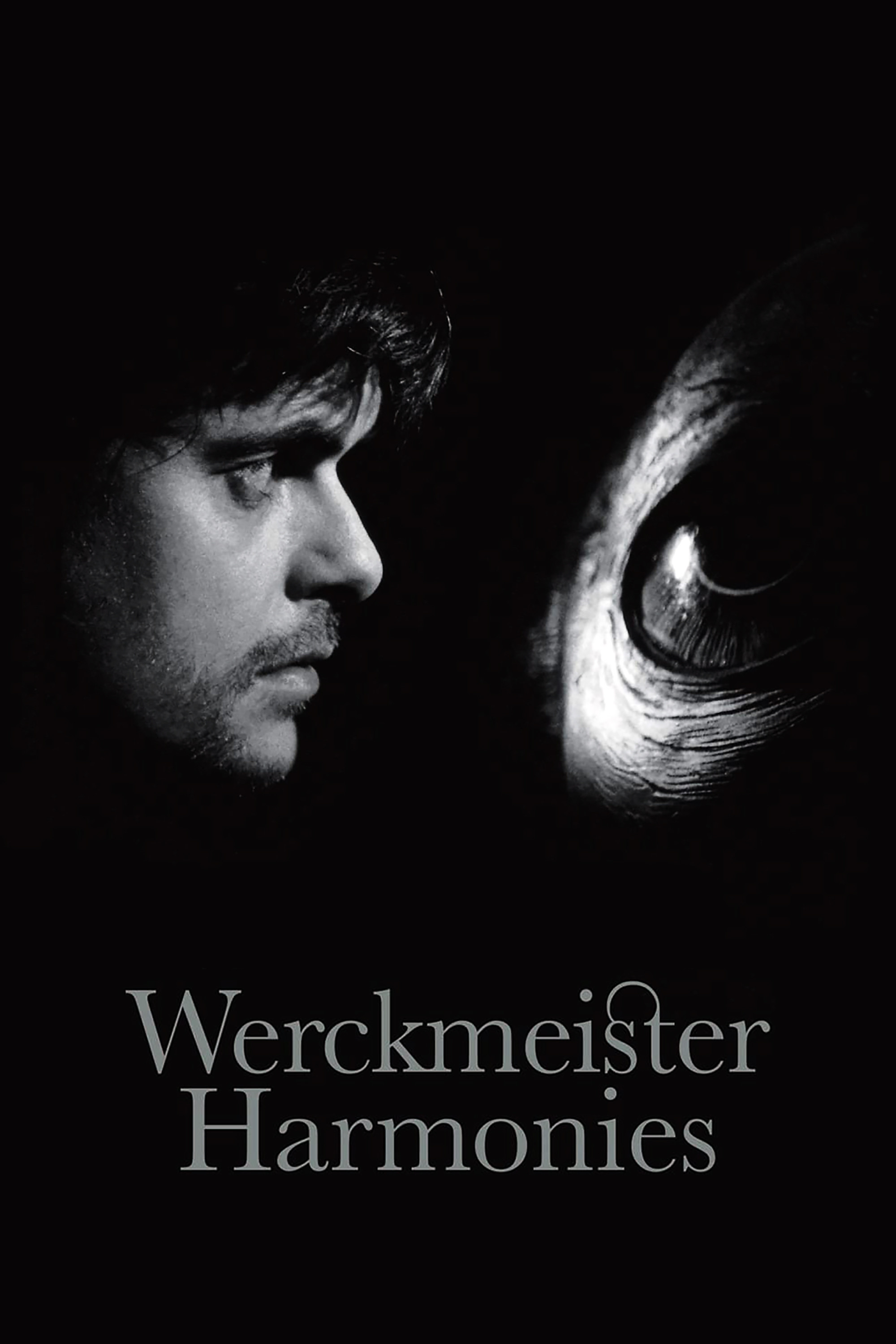 Werckmeister Harmonies