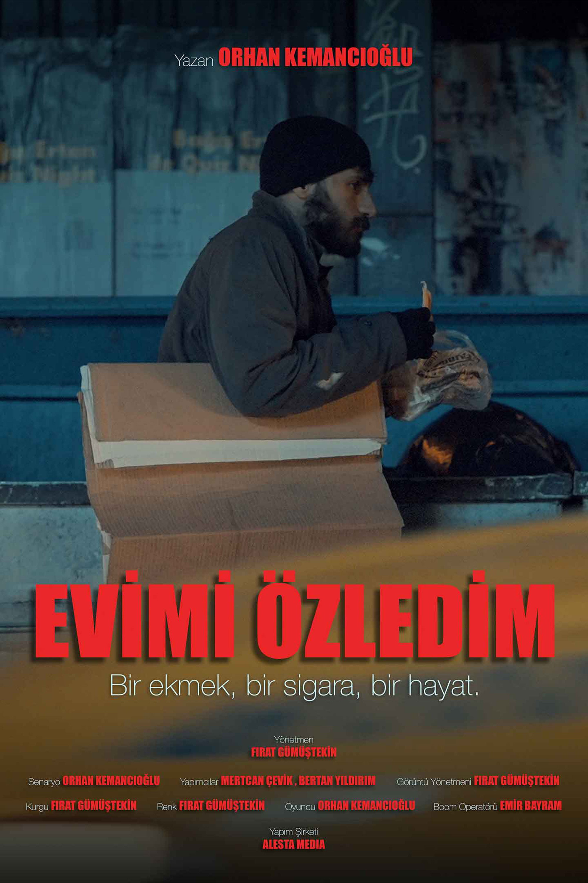 Evimi Özledim Poster