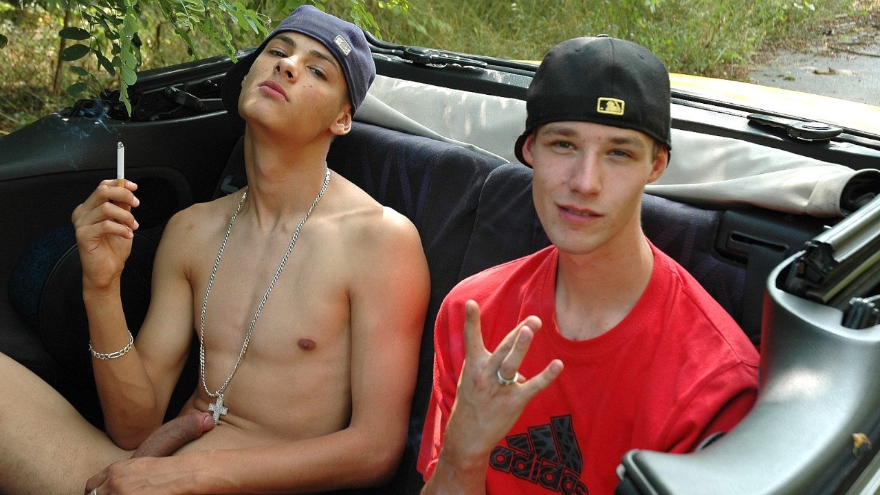 Pedro's Straight Friends (2008)