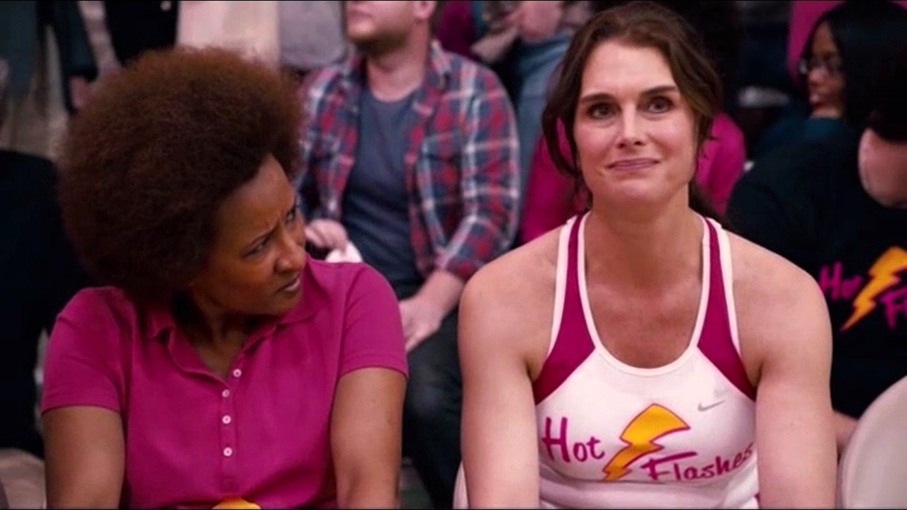 The Hot Flashes (2013)