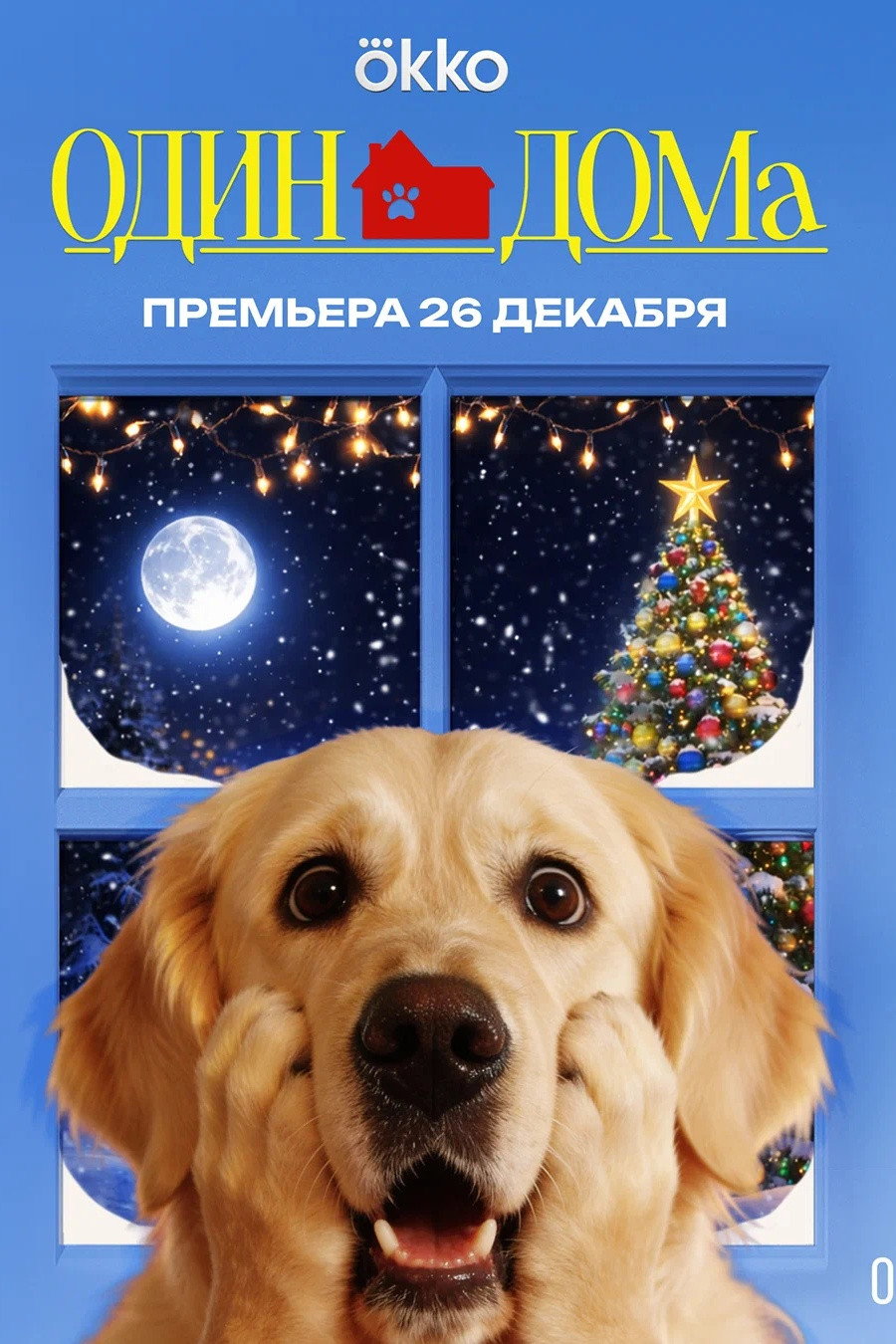 Poster for Dogumentals