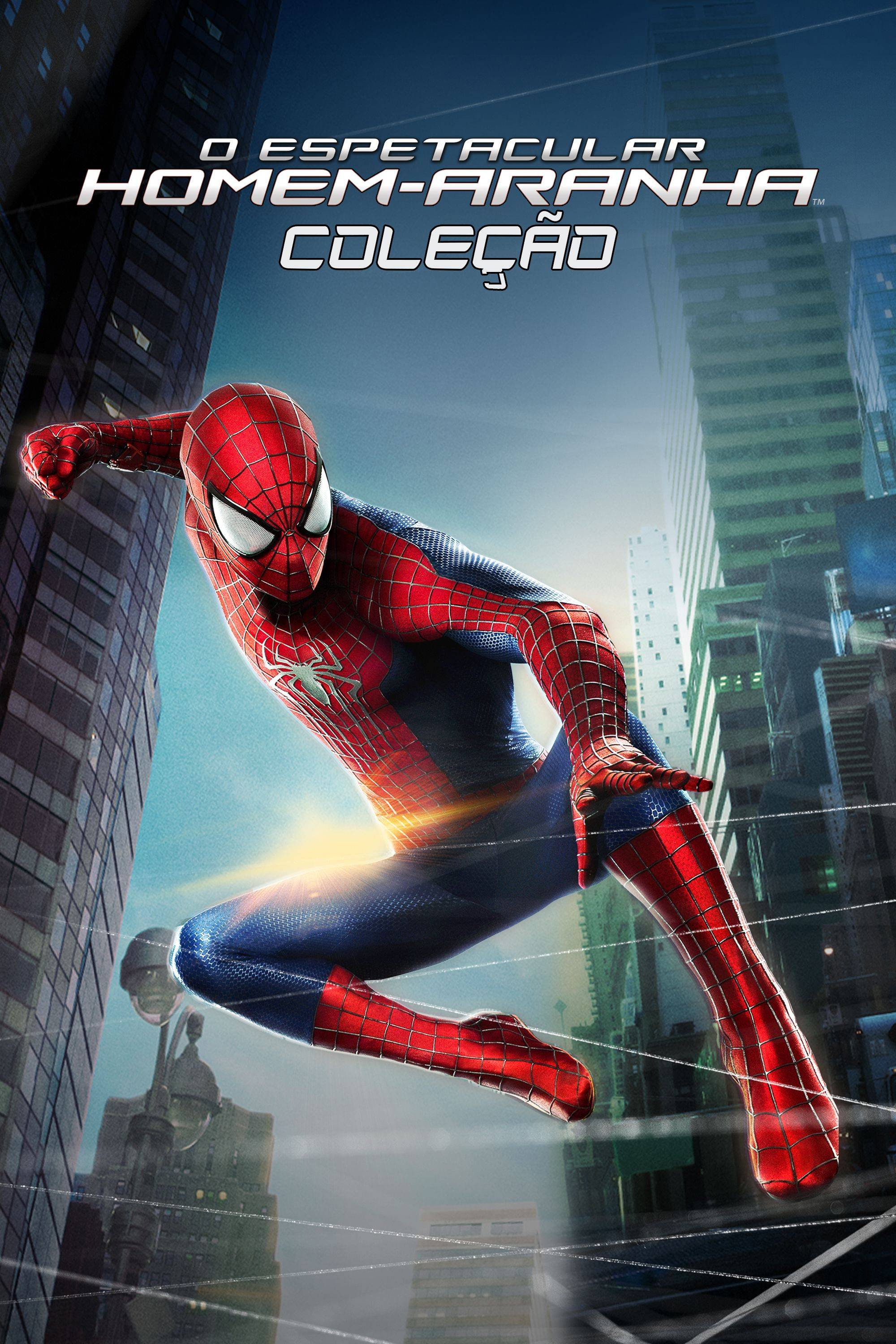 Poster Oficial Do Incrivel Homem Aranha O Espetacular Homem Aranha
