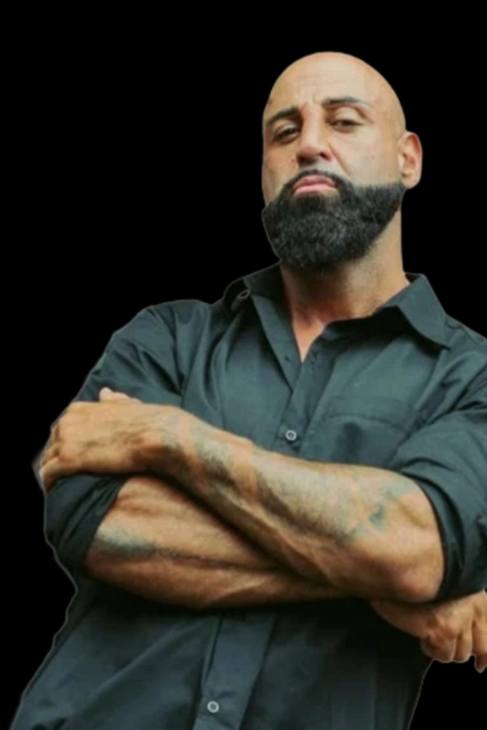 et billede af Tofan Pirani