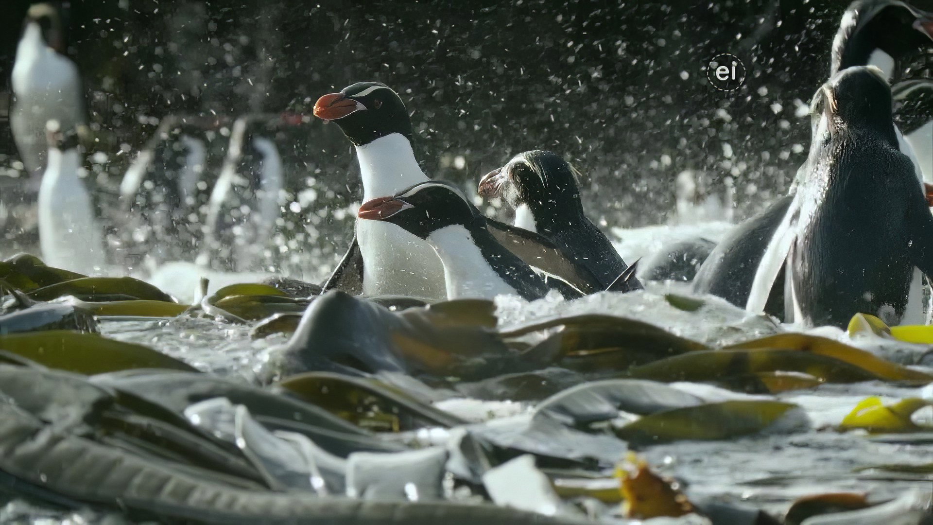 Earth Odyssey with Dylan Dreyer S04E32 backdrop