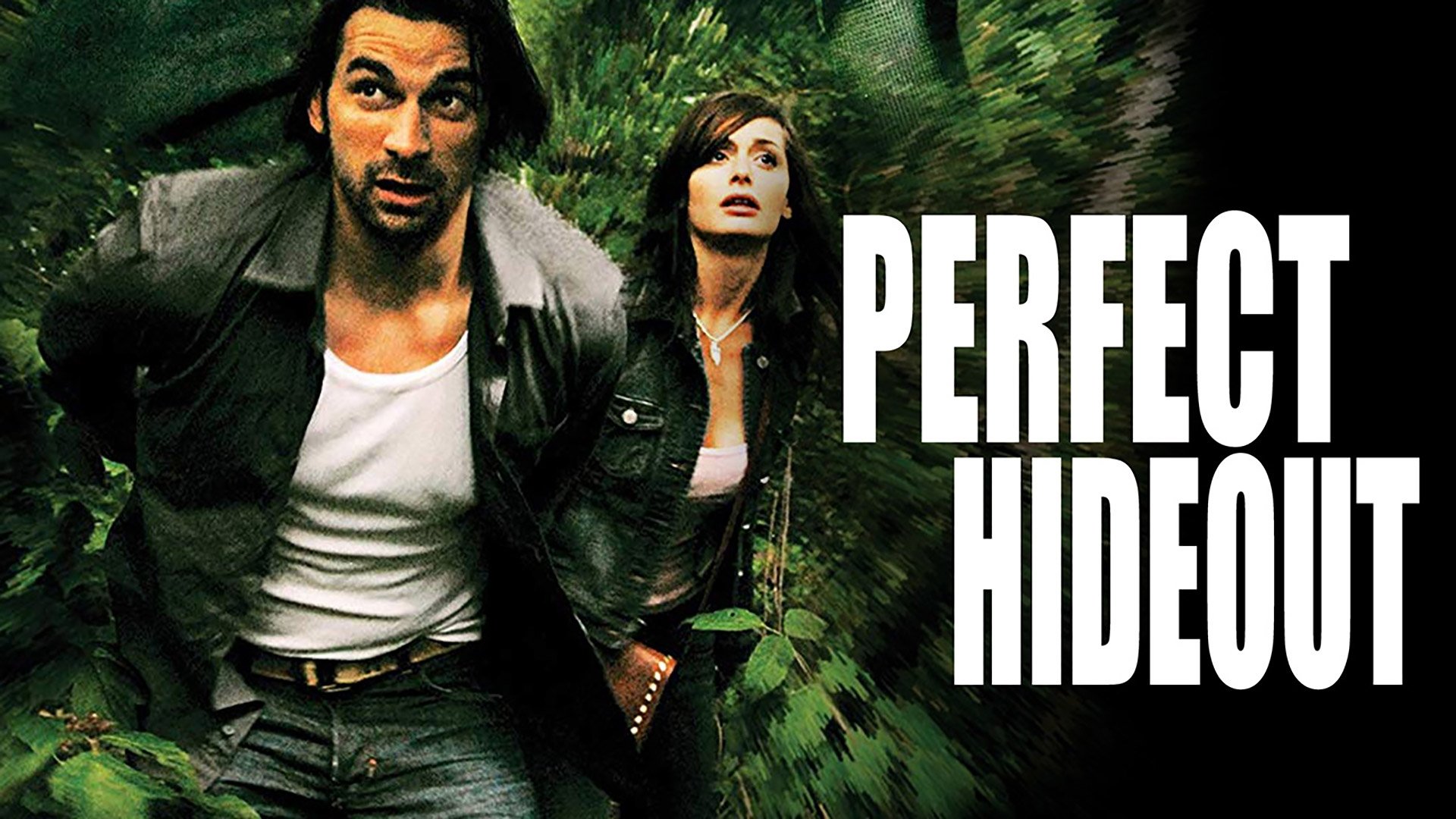 Perfect Hideout (2008)