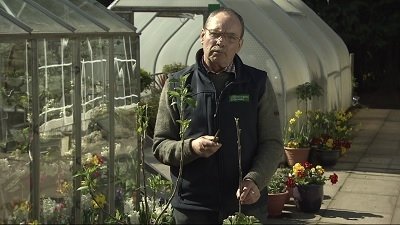 The Beechgrove Garden - Épisode 3