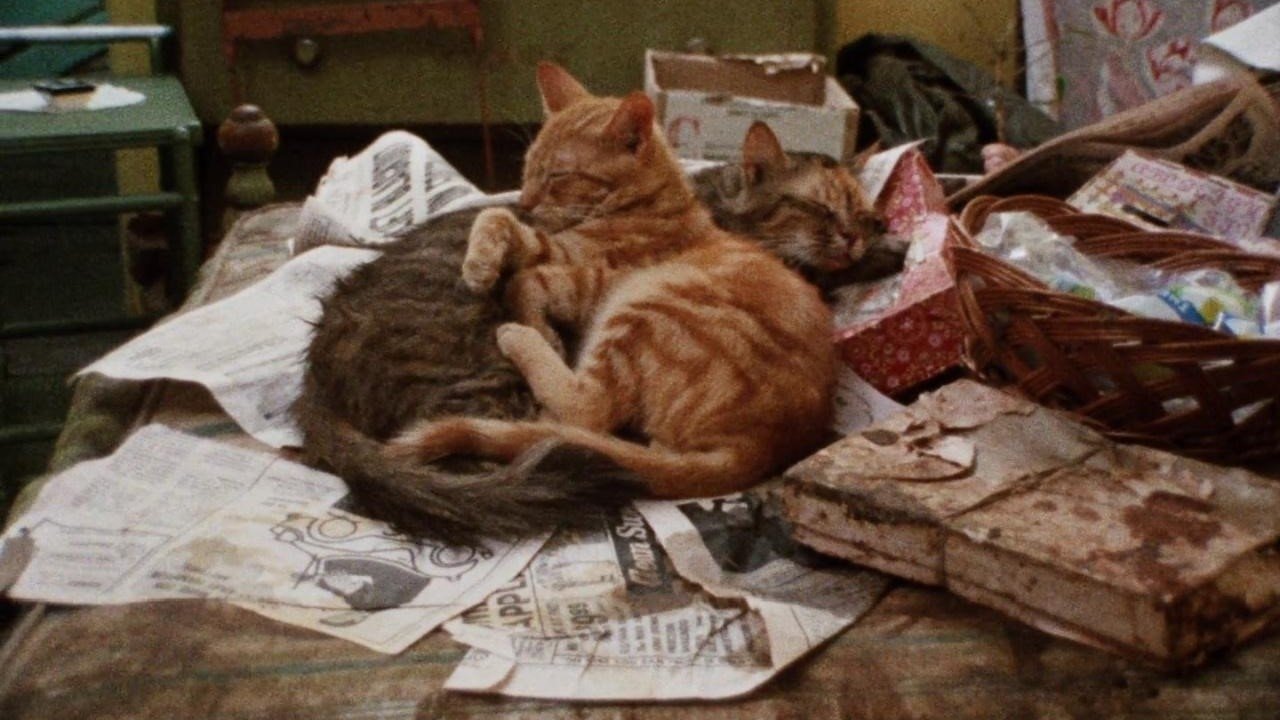 Grey Gardens (1976)