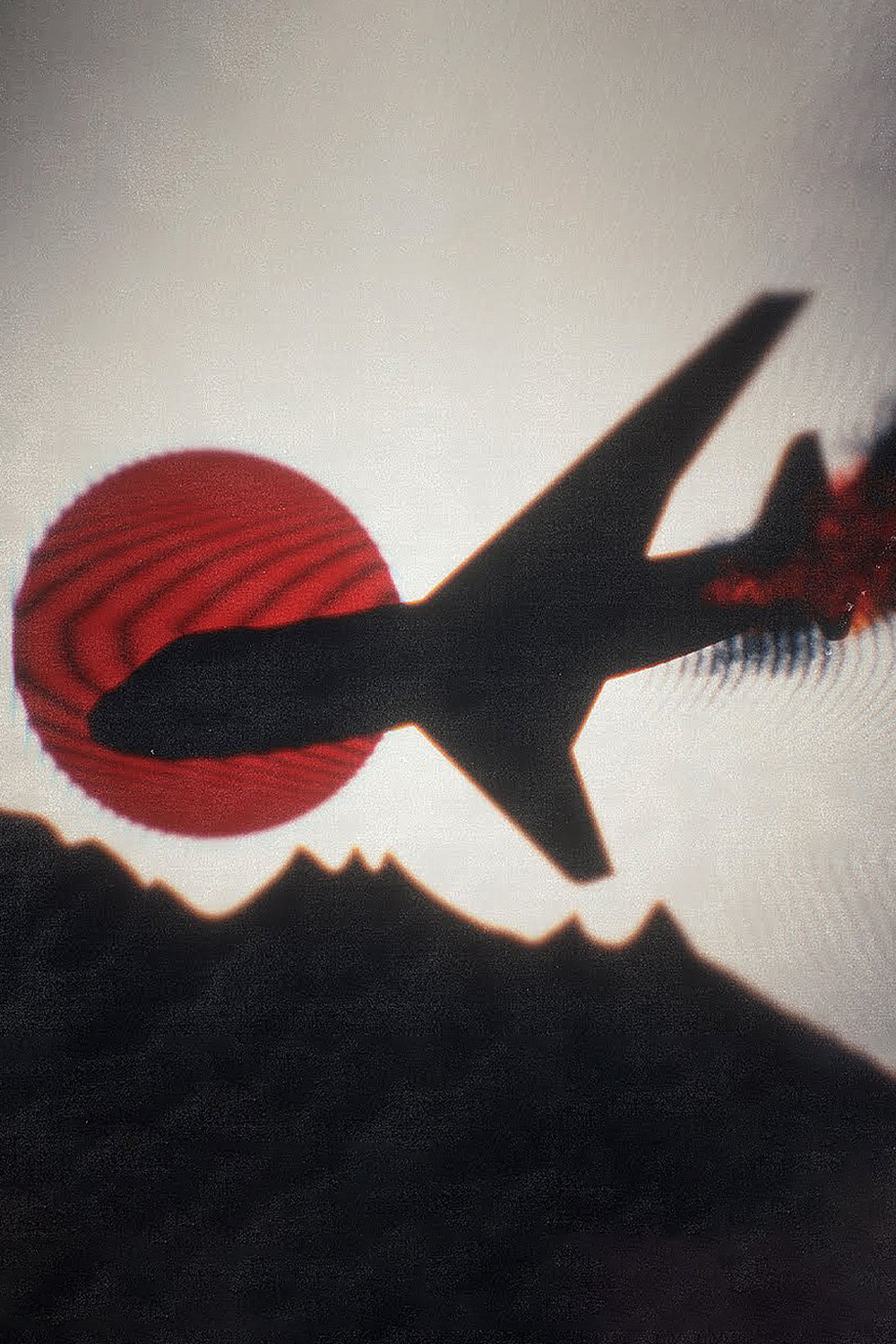 The Fall of Flight 123 Cover