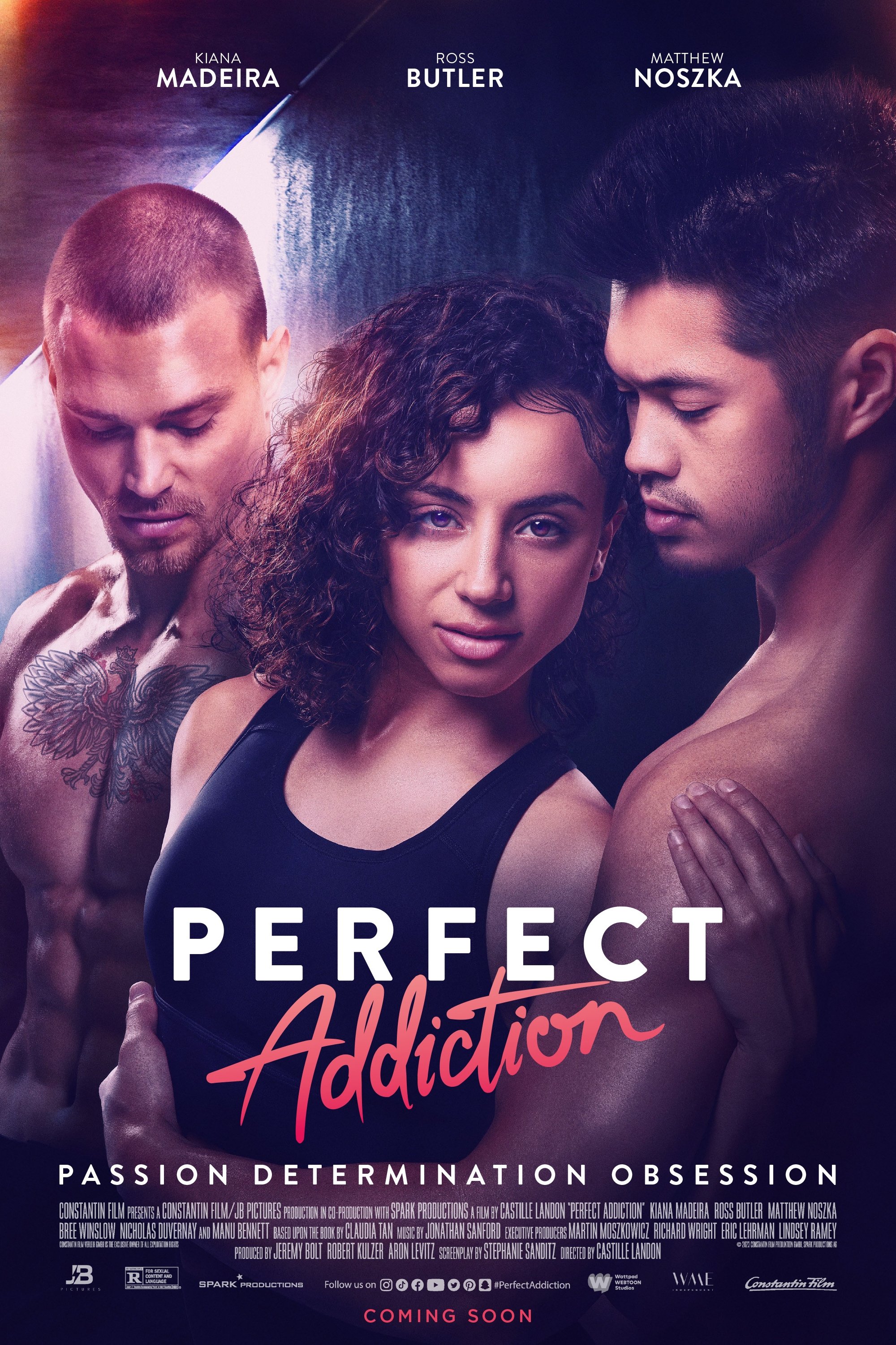 Perfect Addiction