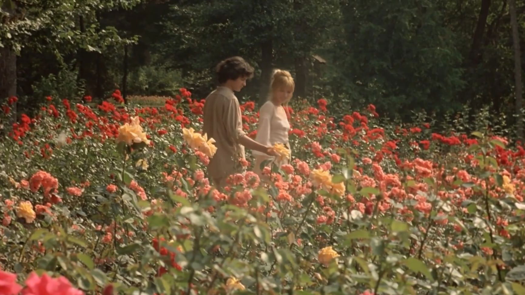 The Demise of Father Mouret