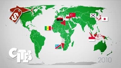 Mapping the World