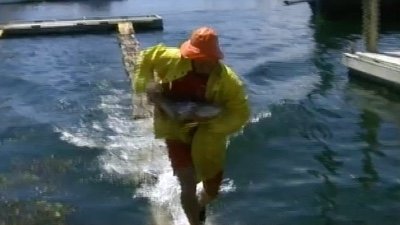 The Challenge Staffel 4 :Folge 3 