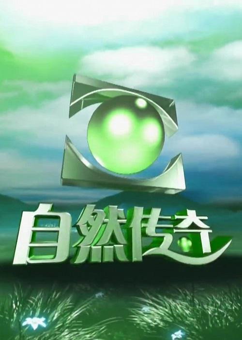 Season 26