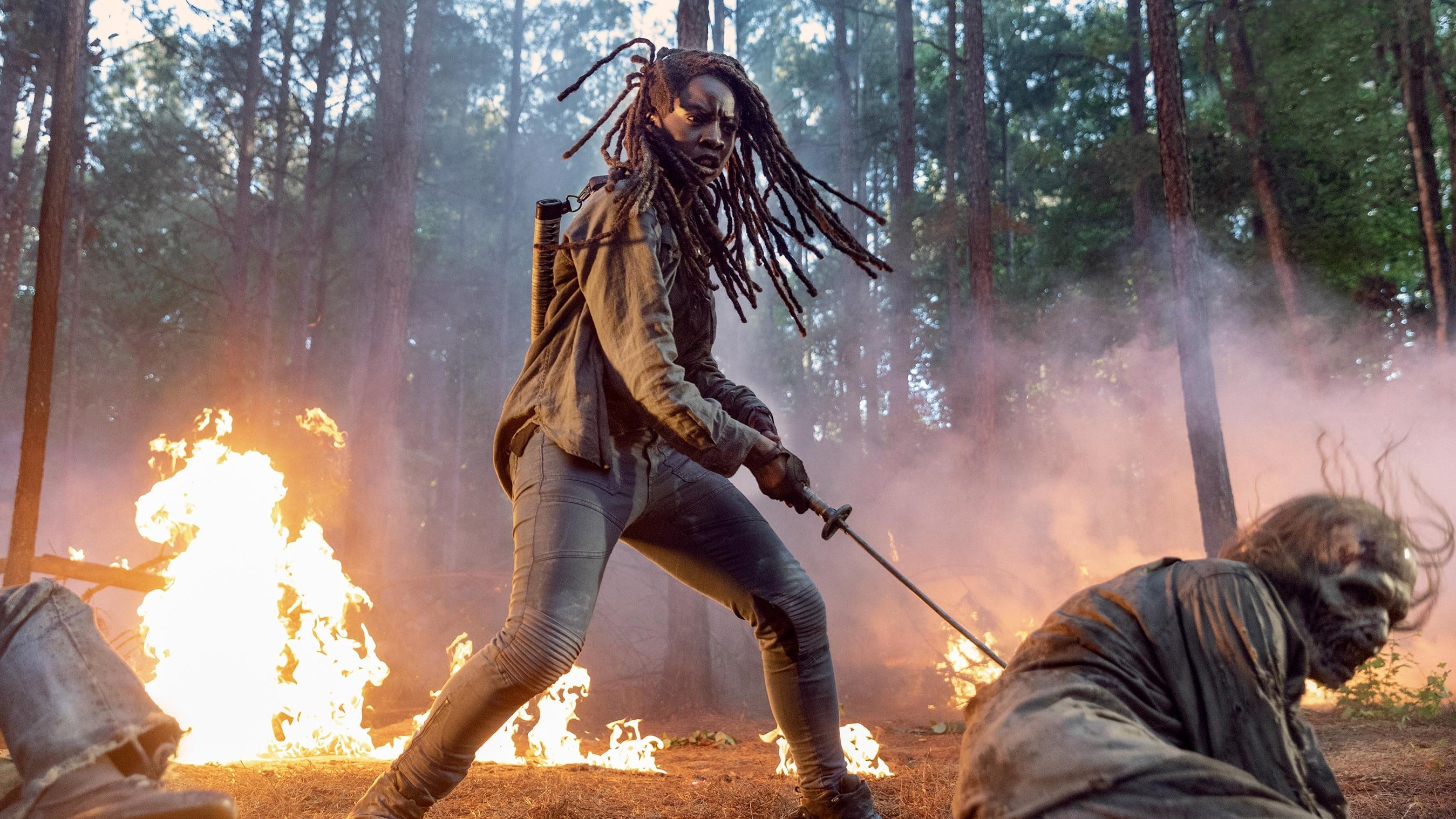 the walking dead saison 9 telechargement