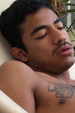 et billede af Mexican Wolf