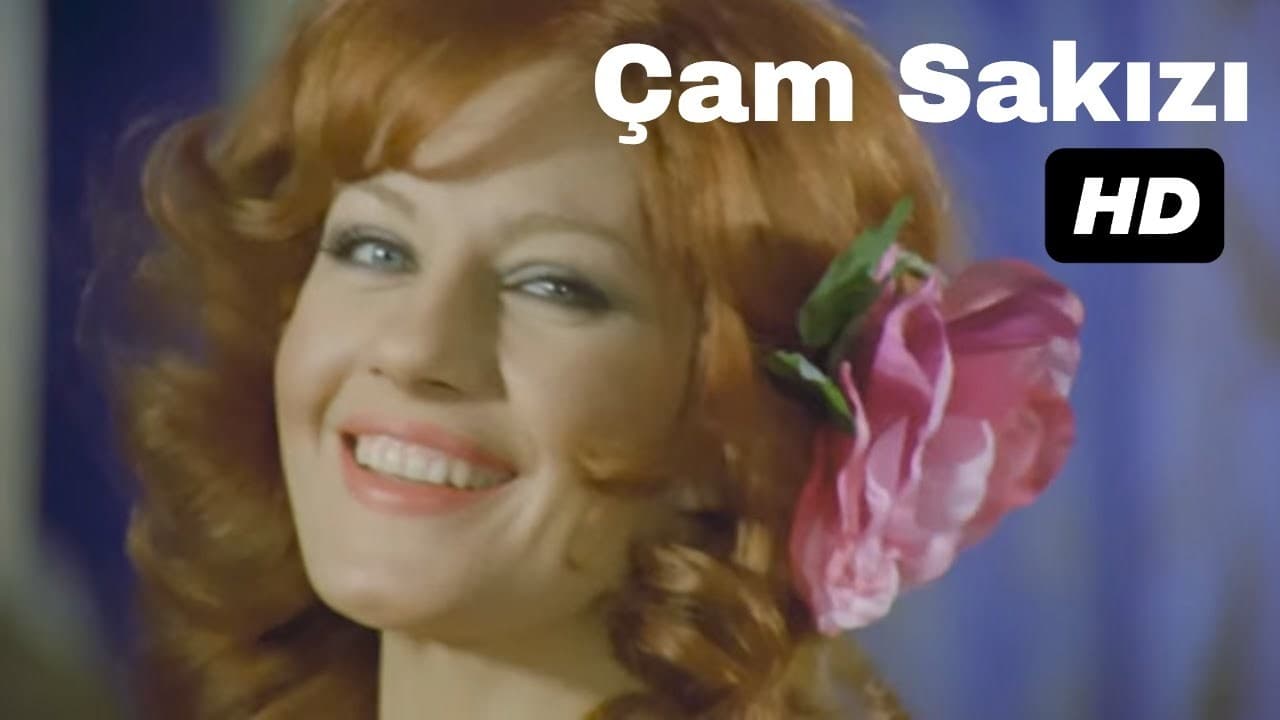Çam Sakızı (1974)