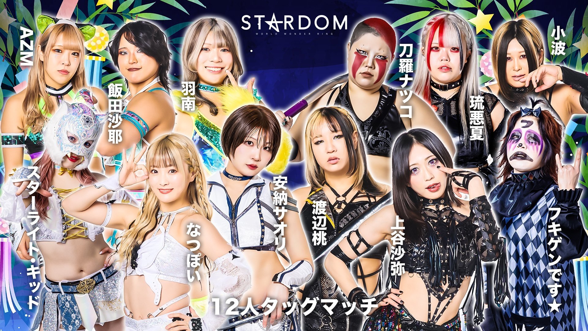 スターダム・ワールドのスターダム 15x65