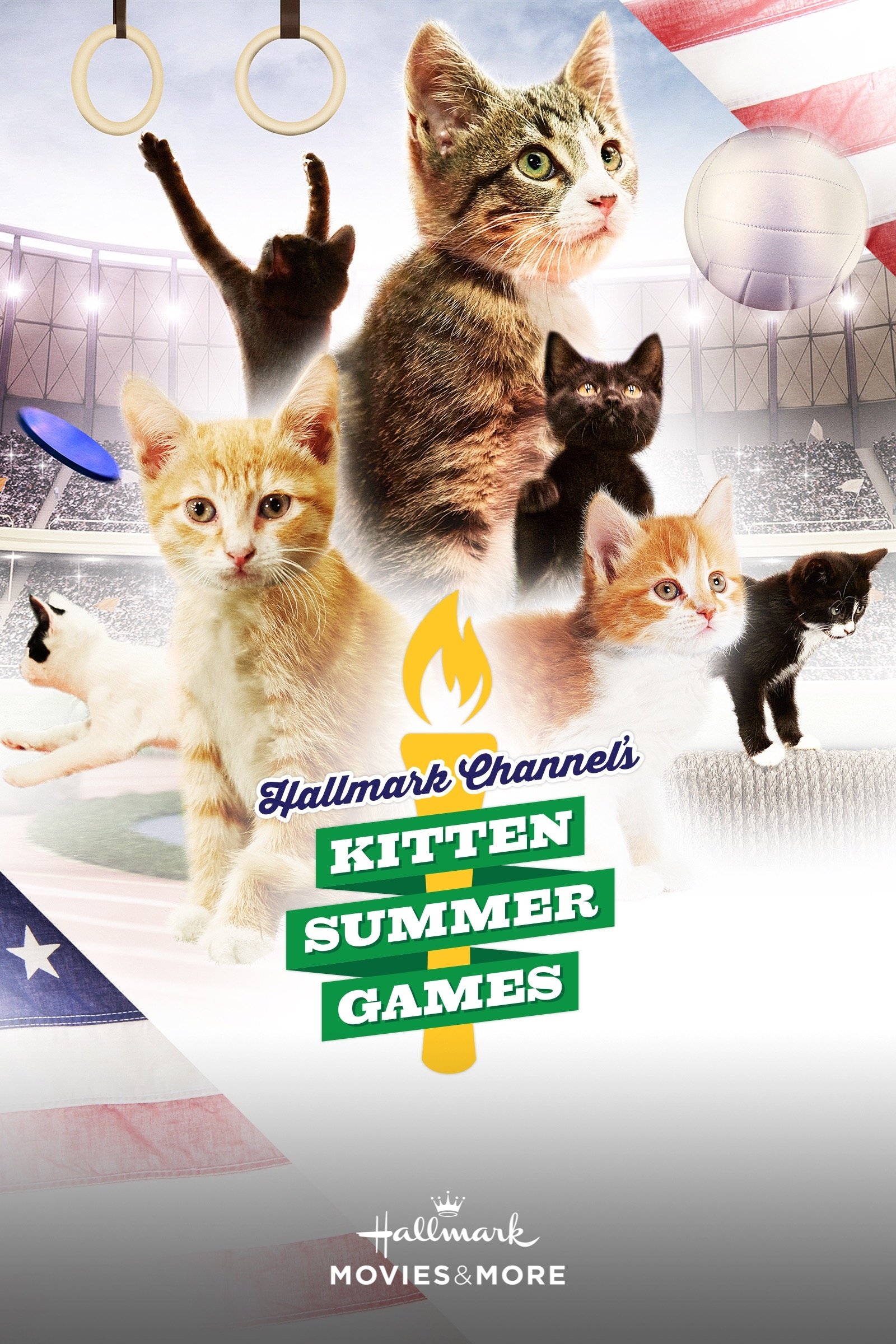 Kitten Summer Games on FREECABLE TV
