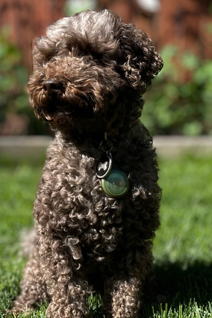 et billede af Andy Knight