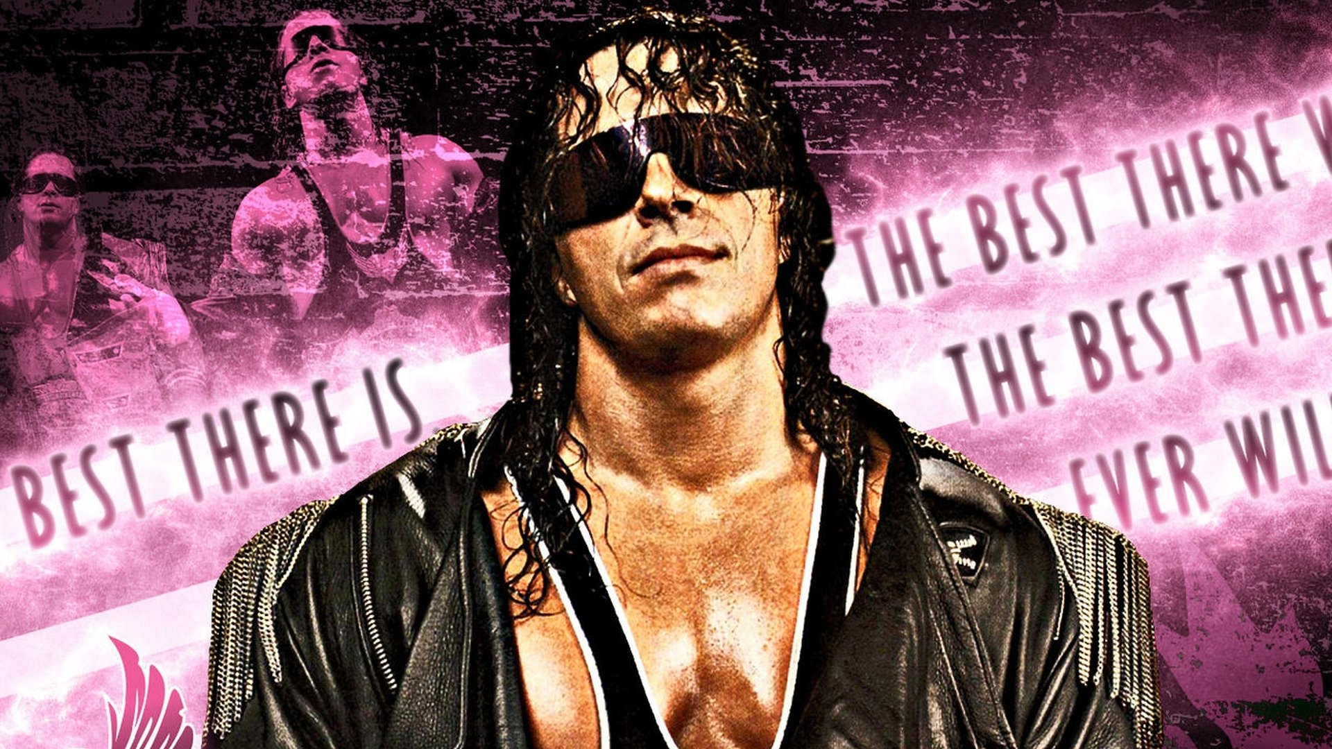 WWE: Bret 'Hitman' Hart - The Best There Is, The Best There Was, The Best There Ever Will Be (2005)