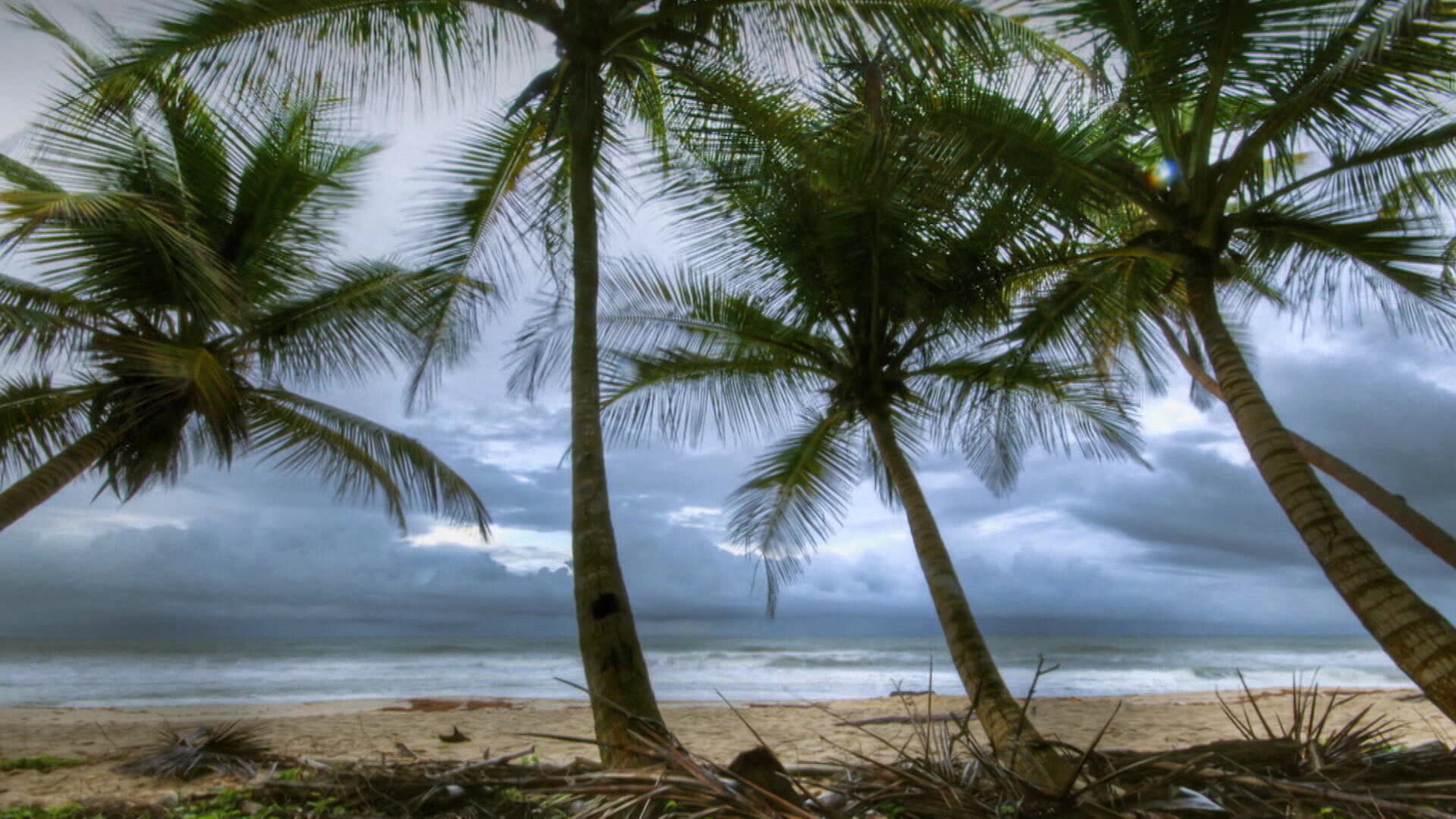 Earth Odyssey with Dylan Dreyer S03E32 backdrop