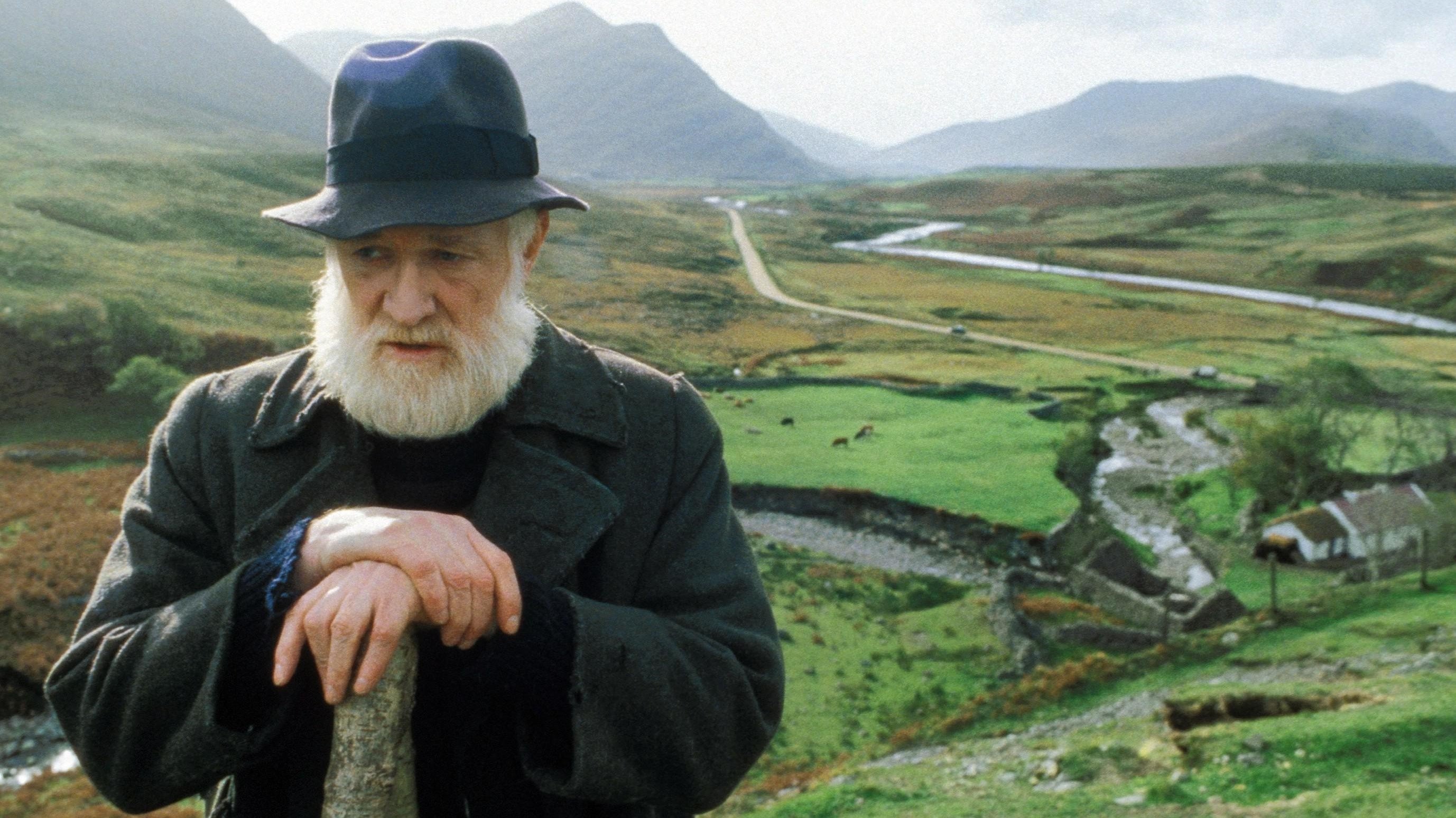 The Field (1990)