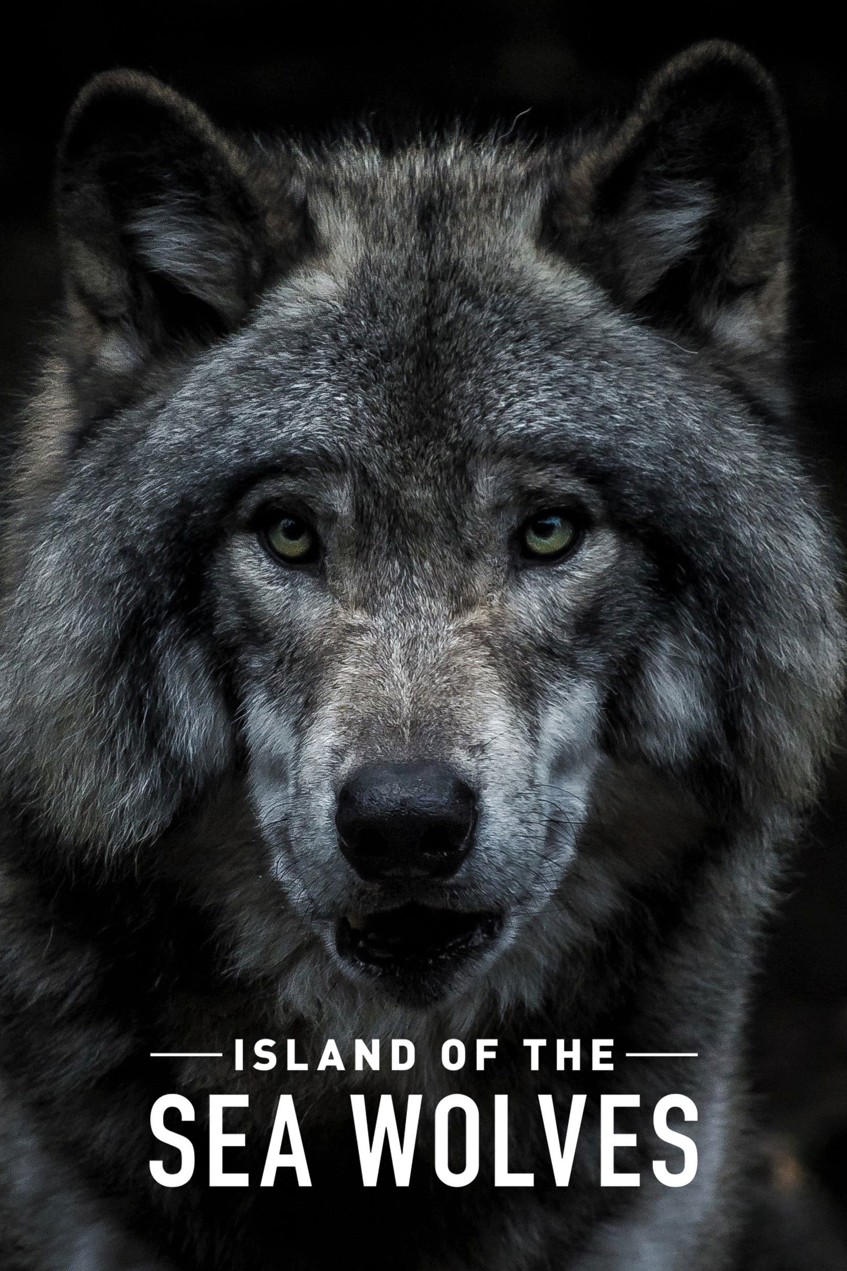 Island of the Sea Wolves - Season 1