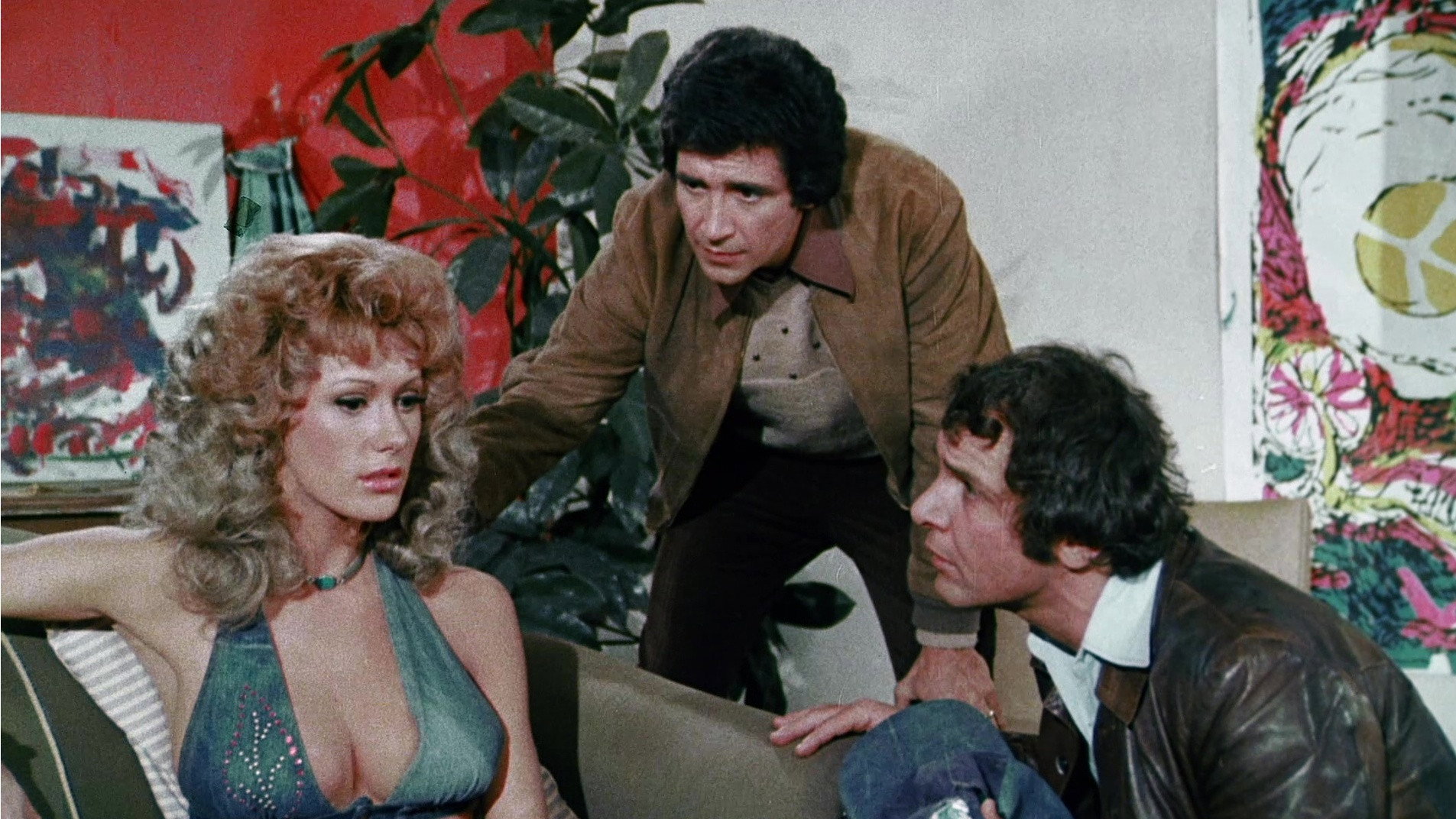 The Last Porno Flick