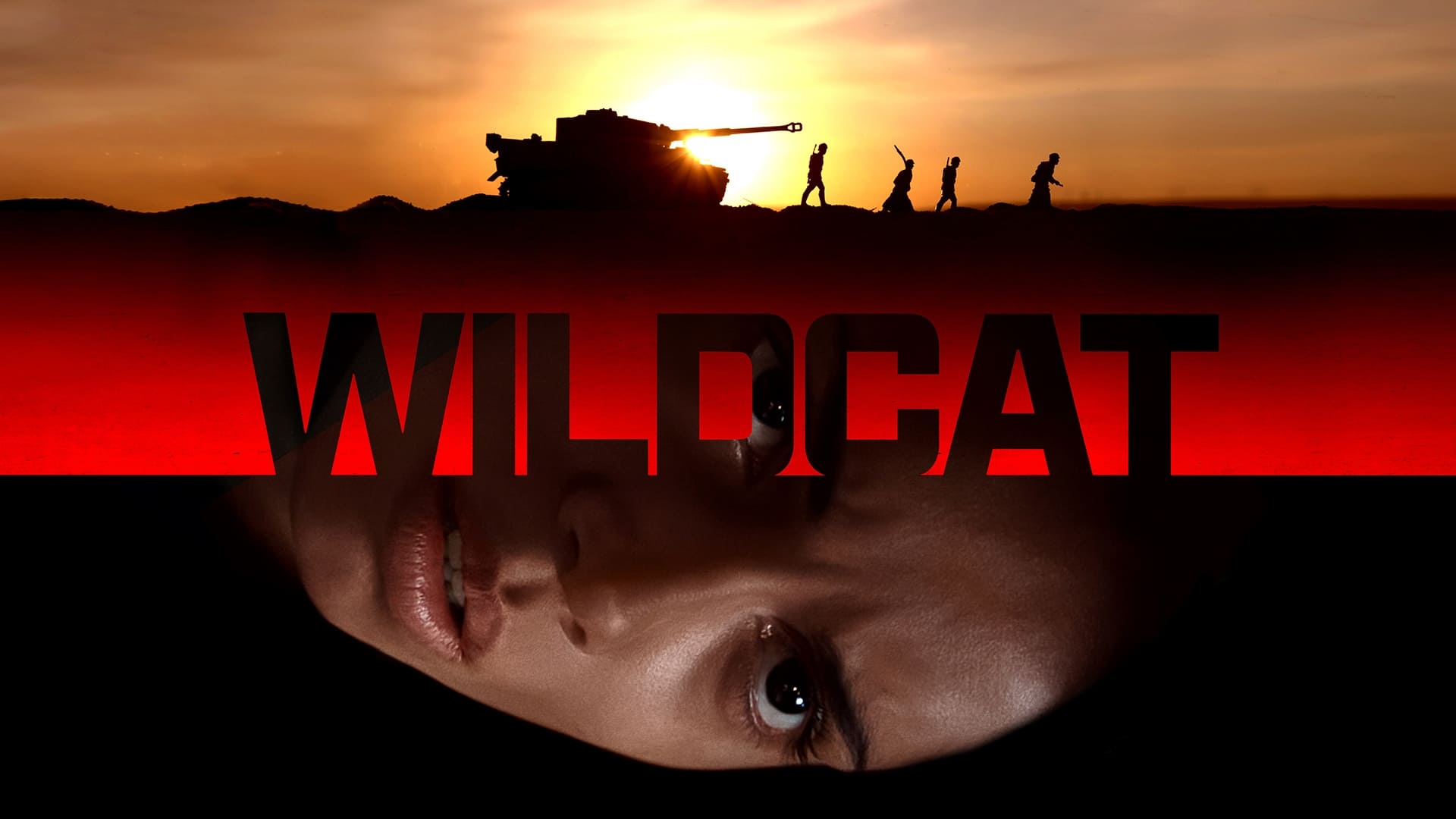 Wildcat