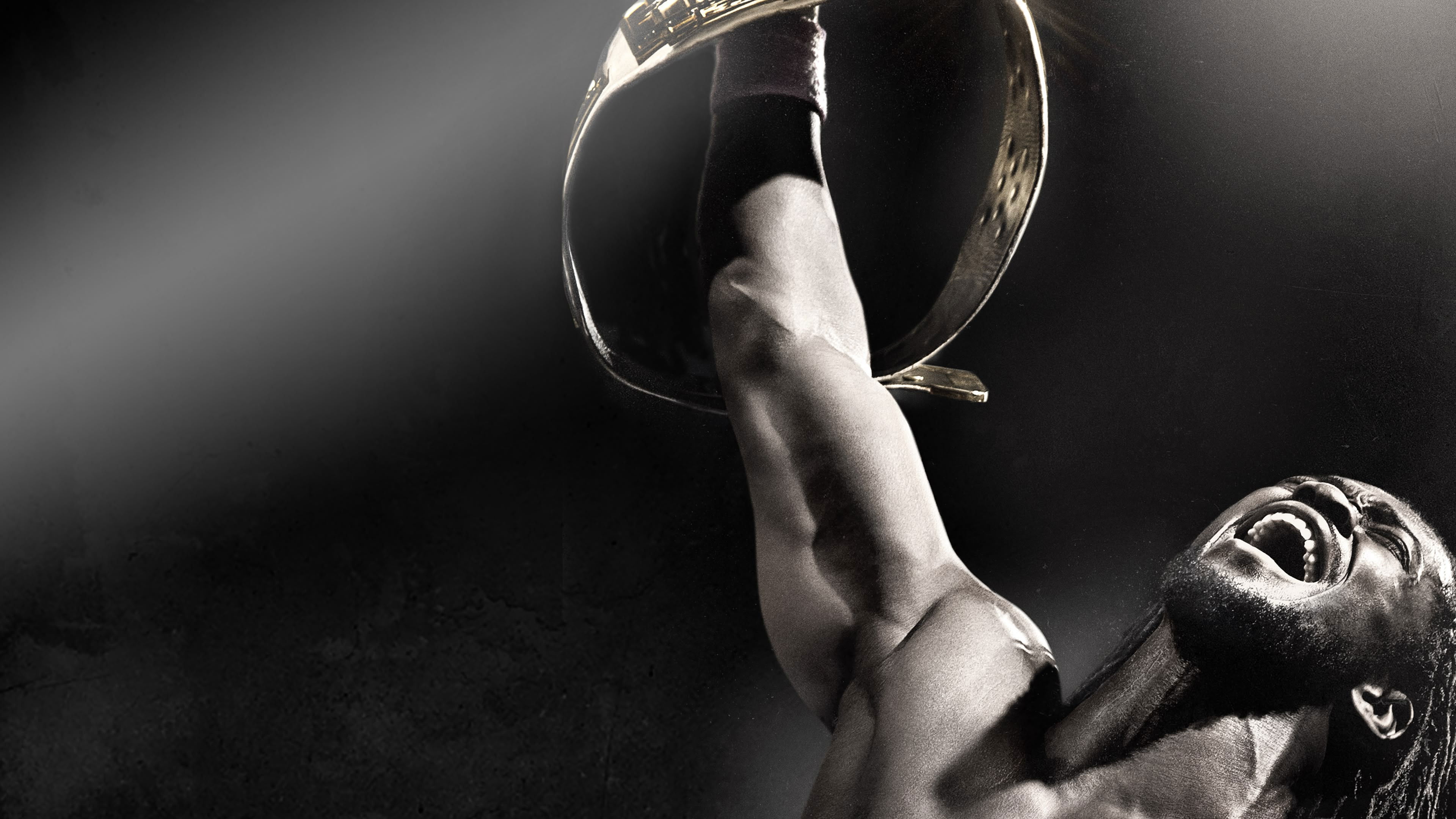 WWE Night of Champions 2013