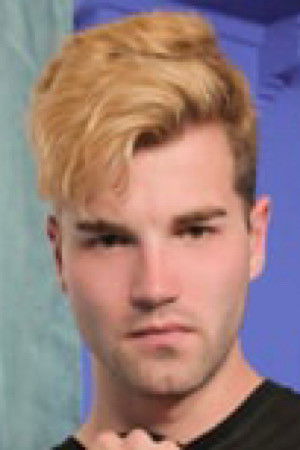 et billede af Dublin Grey