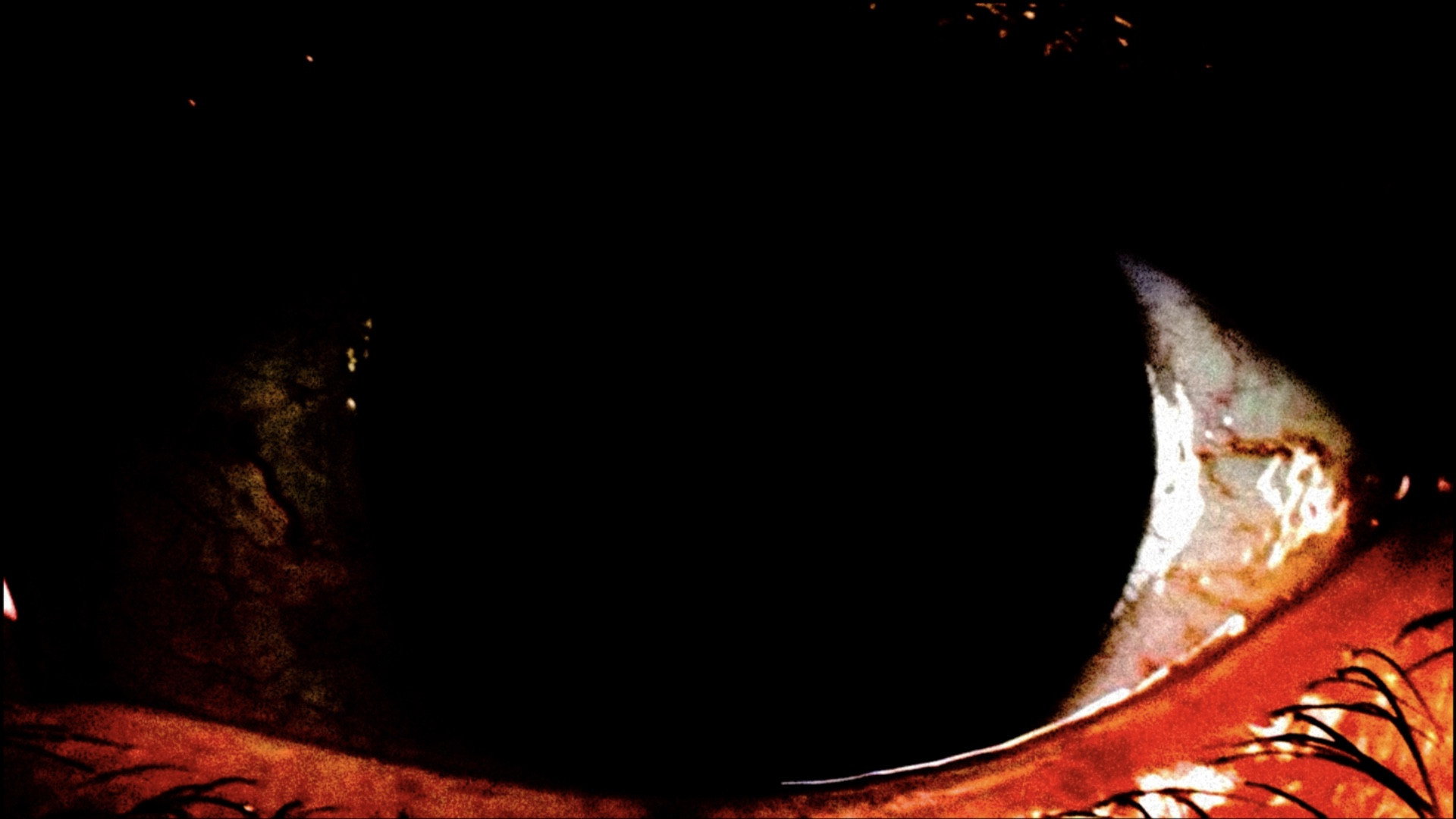 Purgatory for Epiphanea