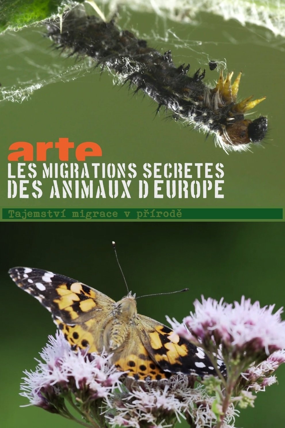 Secret Migrations (2018)