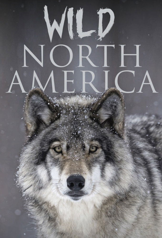 Wild North America