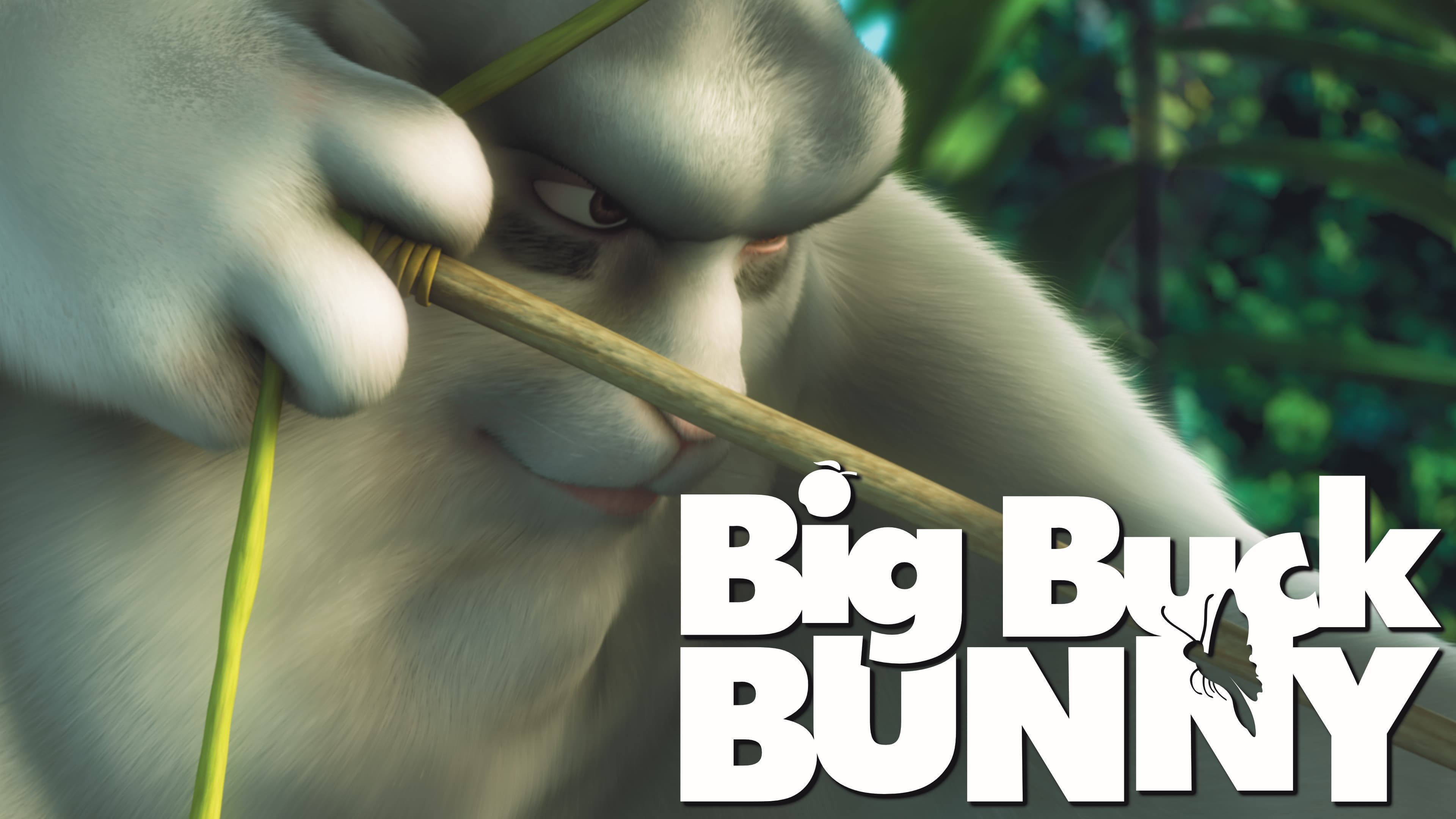 Big Buck Bunny (2008)