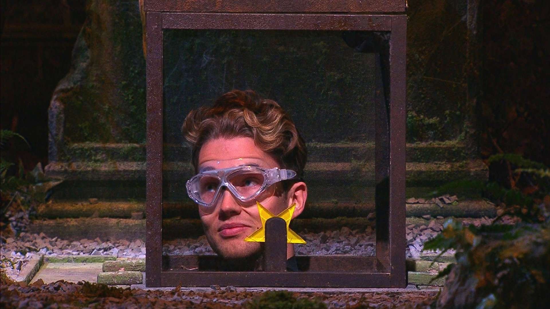 I'm a Celebrity...Get Me Out of Here!