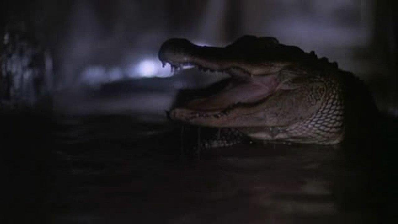 Alligator 2: The Mutation (1991)