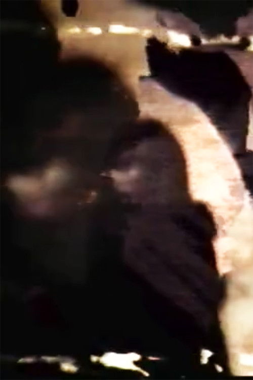 Cheree Cheree Poster