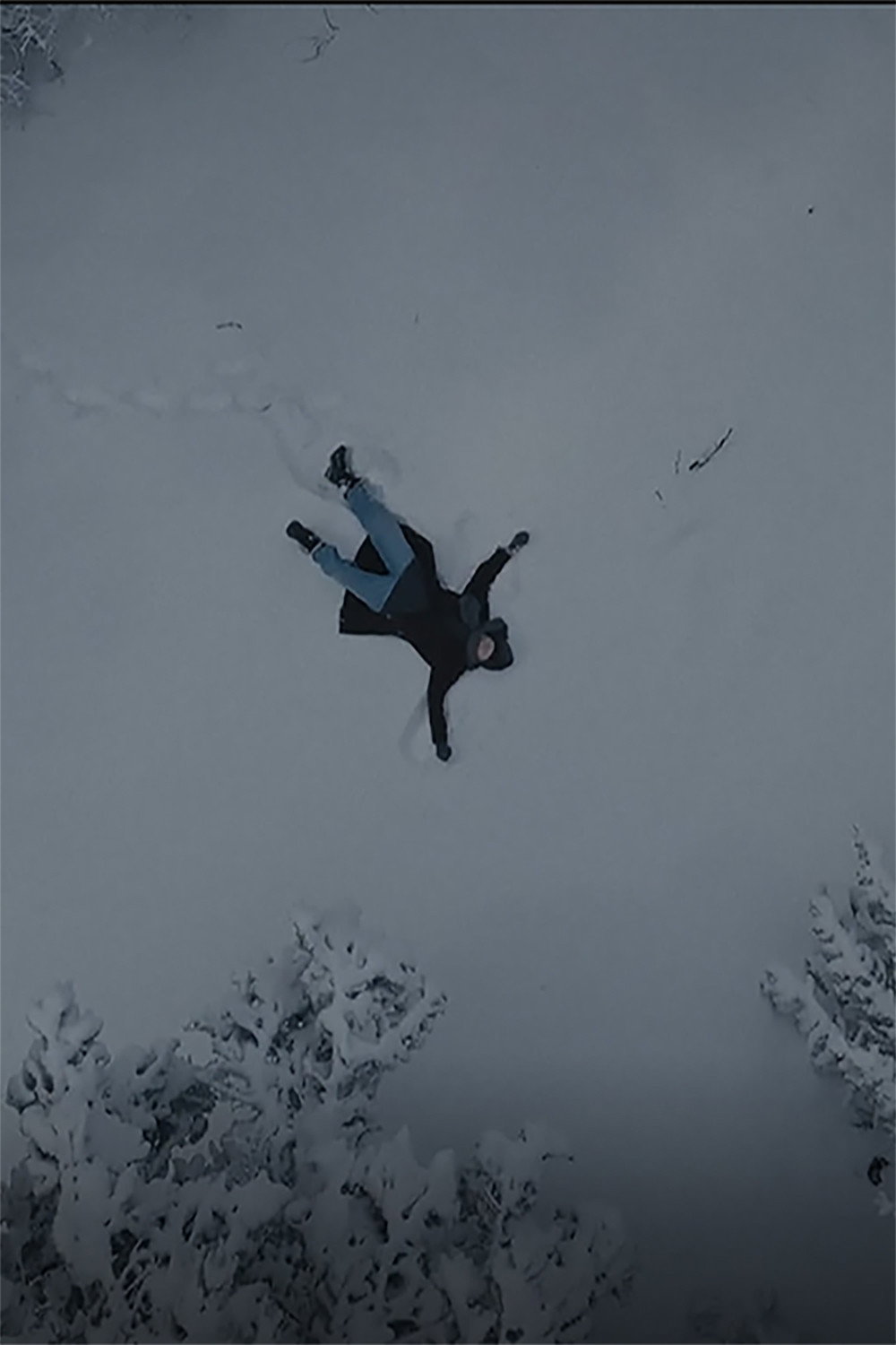 Out of the Woods