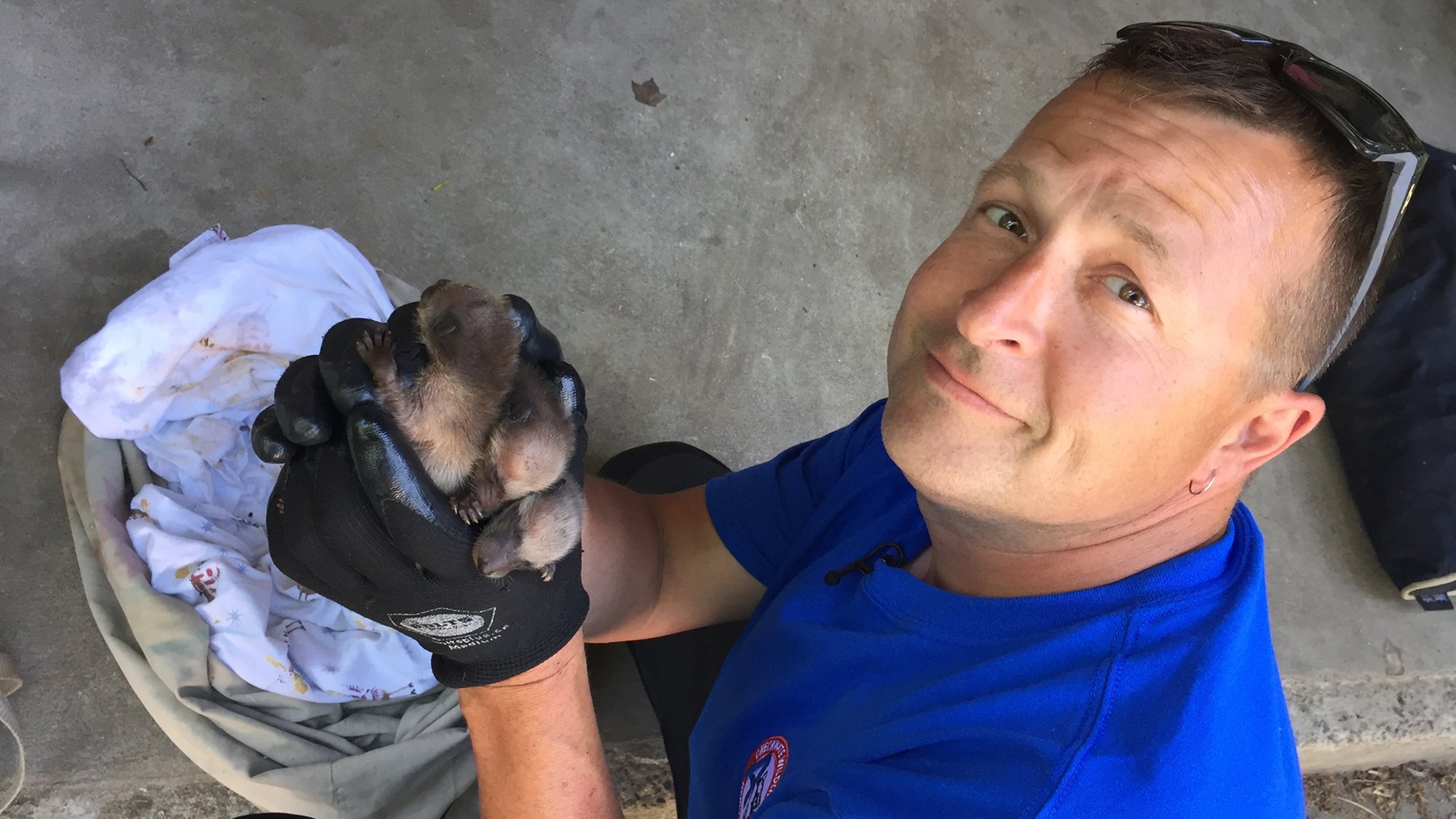 Thumbnail for Episode 1 Season 1 Episode 1