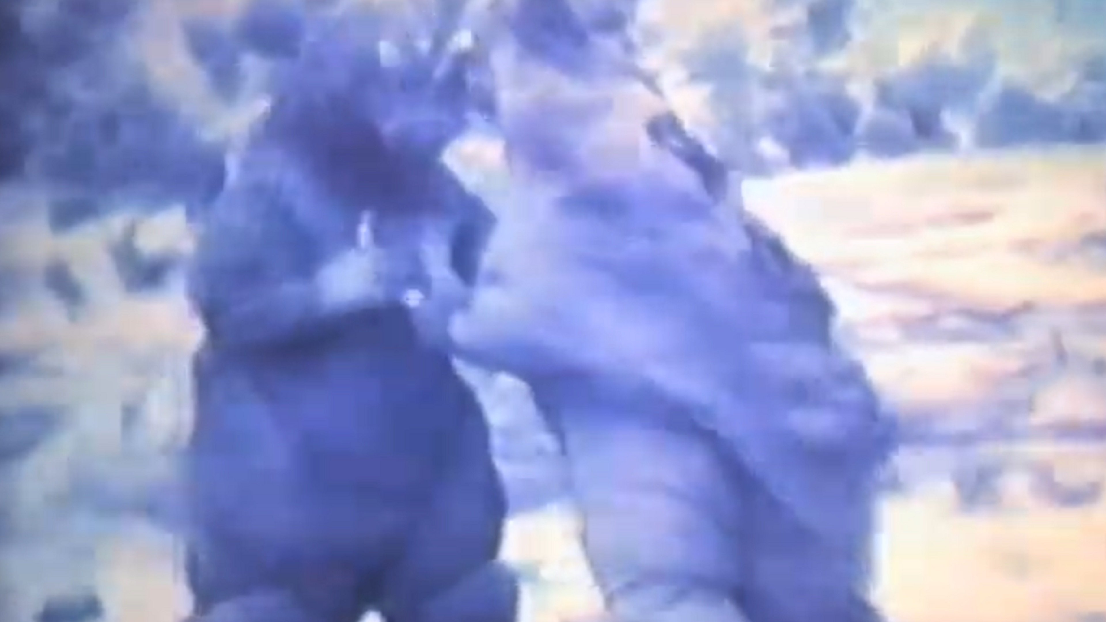 Imagem do Filme ゴジラ対地底怪獣パゴス